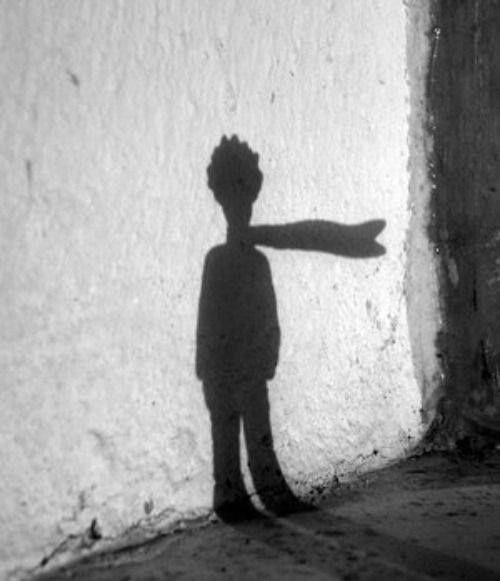 Duyguların ve Düşüncülerin Aidiyeti